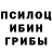 Псилоцибиновые грибы Psilocybe Galina Galchinskaya