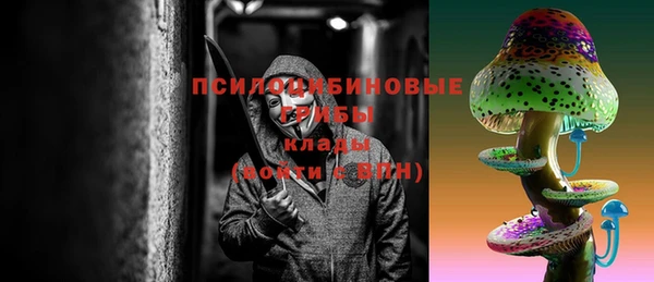 МДПВ Нефтегорск