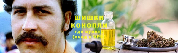 МДПВ Нефтегорск