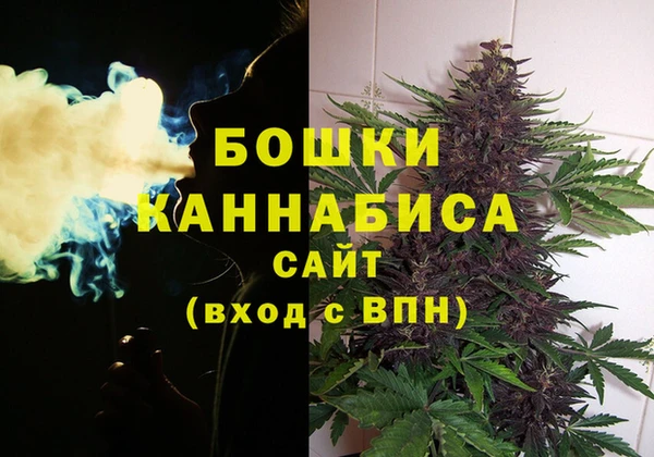 2c-b Богородицк