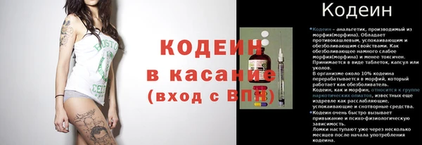 хмурый Нея