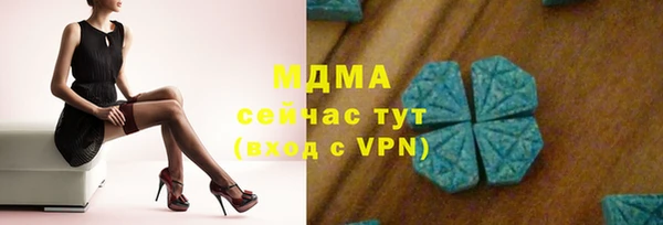 хмурый Нея