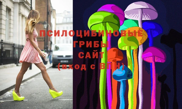 хмурый Нея