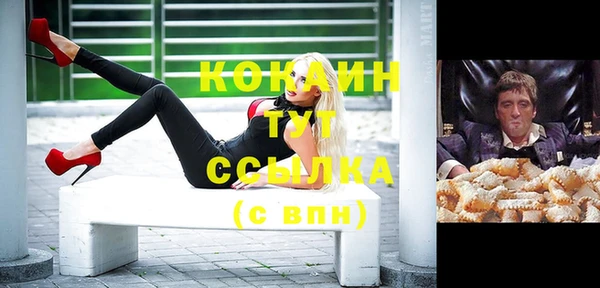 хмурый Нея