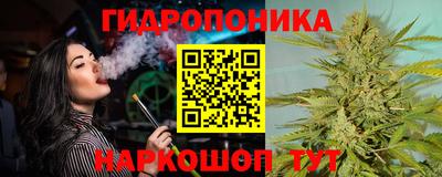 СК Аргун