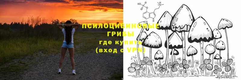 MEGA зеркало  дарнет шоп  Химки  Галлюциногенные грибы MAGIC MUSHROOMS 