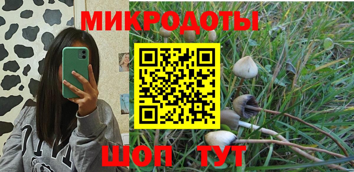 Галлюциногенные грибы мухоморы  Химки  где найти   Галлюциногенные грибы Cubensis 