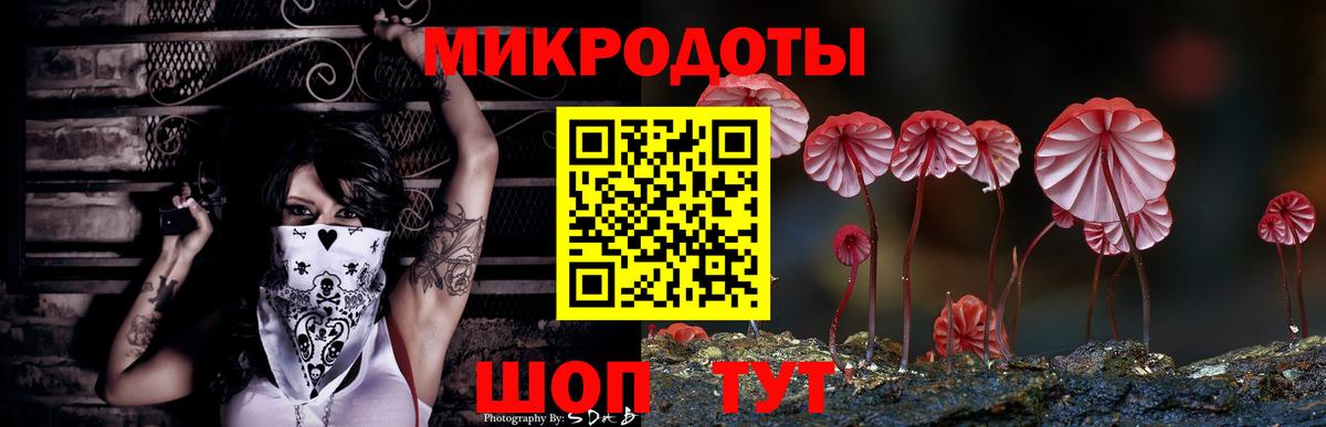 Химки  Галлюциногенные грибы GOLDEN TEACHER  Вход с VPN  Галлюциногенные грибы прущие грибы 