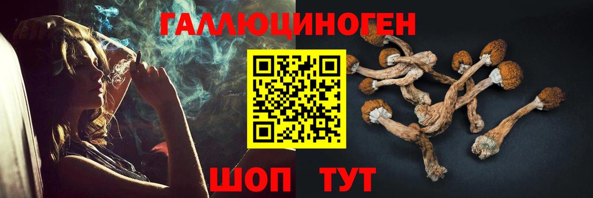 Псилоцибиновые грибы GOLDEN TEACHER Химки
