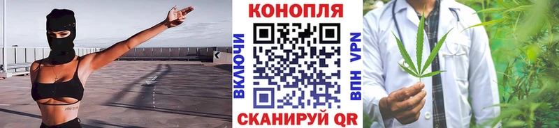 магазин продажи наркотиков Химки Канабис сатива