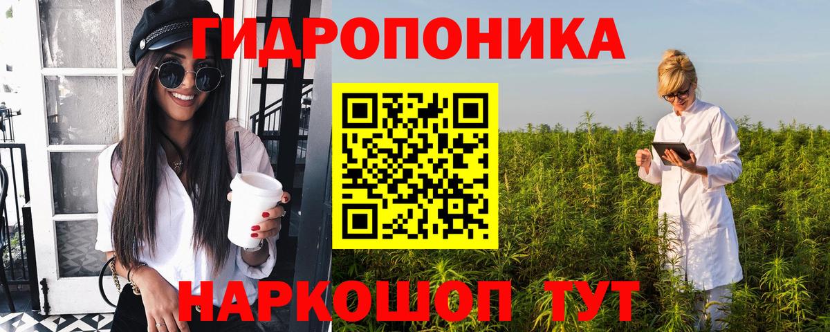 Канабис MAZAR  Шишки марихуана Amnesia  Марихуана OG Kush  Химки  Конопля MAZAR 